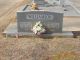 Williamson Headstones