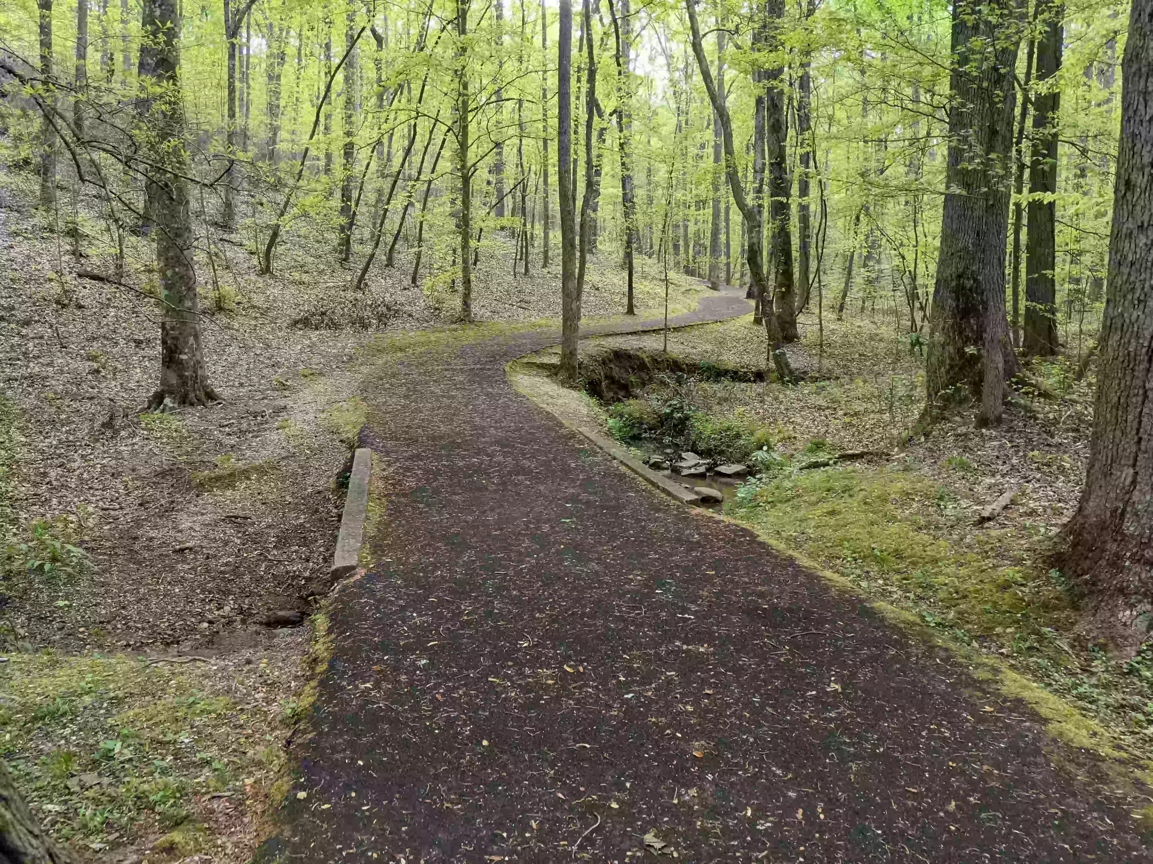 KingsMountainBattlefield_16Apr2023 (110).webp